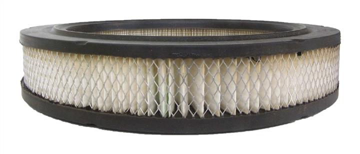 AC Delco A2982C Air filter A2982C: Buy near me in Poland at 2407.PL - Good price!