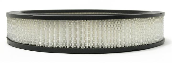 AC Delco A2979C Air filter A2979C: Buy near me in Poland at 2407.PL - Good price!