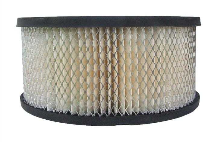 AC Delco A2976C Air filter A2976C: Buy near me in Poland at 2407.PL - Good price!