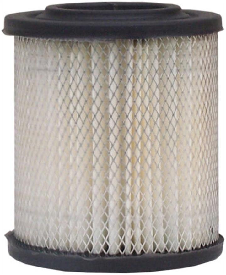 AC Delco A2828C Air filter A2828C: Buy near me in Poland at 2407.PL - Good price!