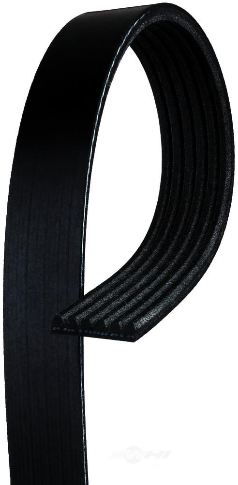 AC Delco 6K935 V-Ribbed Belt 6K935: Buy near me in Poland at 2407.PL - Good price!