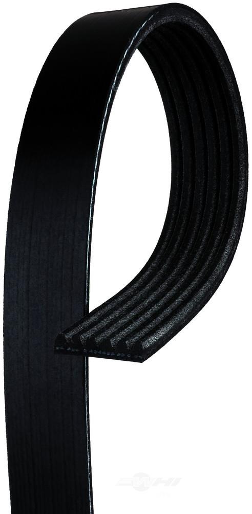 AC Delco 6K1203 V-Ribbed Belt 6K1203: Buy near me in Poland at 2407.PL - Good price!