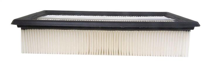 AC Delco A2957C Air filter A2957C: Buy near me in Poland at 2407.PL - Good price!