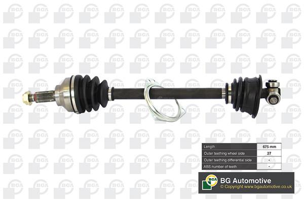 BGA DS7319L Drive shaft DS7319L: Buy near me in Poland at 2407.PL - Good price!