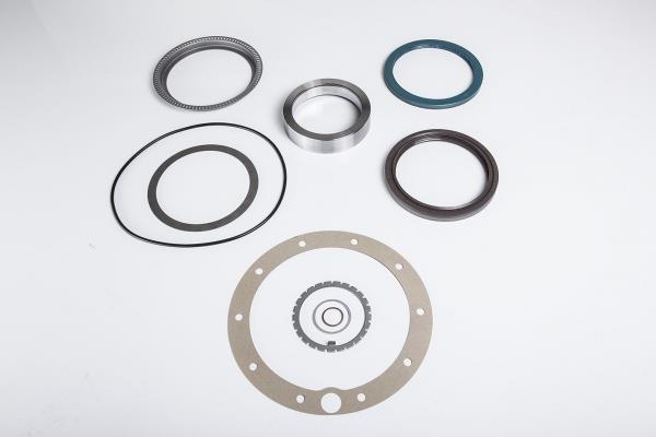 PE Automotive 011.393-00A Wheel gear gaskets, kit 01139300A: Buy near me in Poland at 2407.PL - Good price!