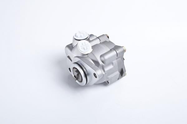 PE Automotive 012.500-00A Hydraulic Pump, steering system 01250000A: Buy near me in Poland at 2407.PL - Good price!
