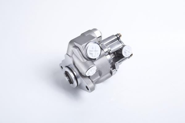 PE Automotive 012.506-00A Hydraulic Pump, steering system 01250600A: Buy near me in Poland at 2407.PL - Good price!