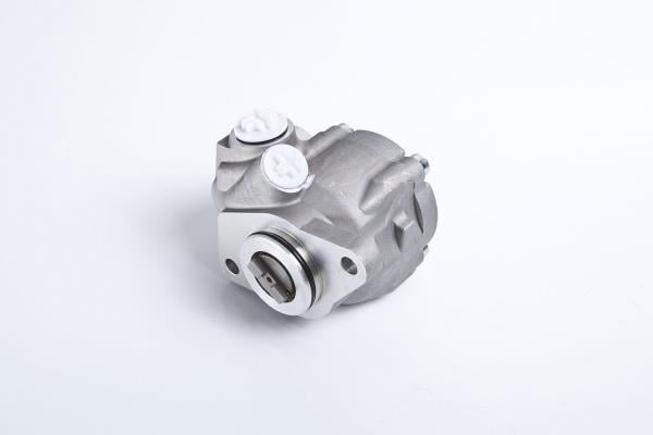 PE Automotive 032.501-00A Hydraulic Pump, steering system 03250100A: Buy near me in Poland at 2407.PL - Good price!