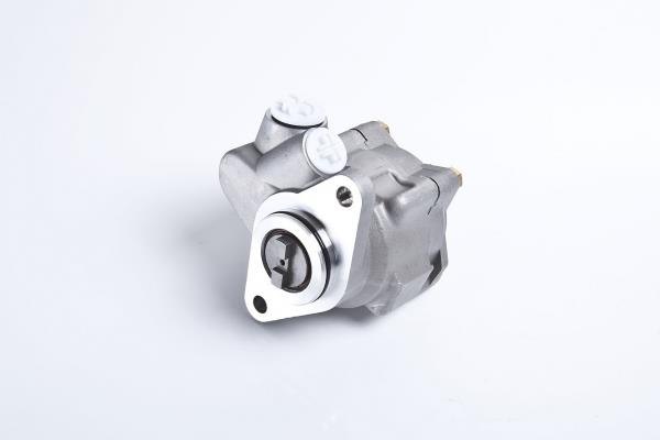 PE Automotive 032.502-00A Hydraulic Pump, steering system 03250200A: Buy near me in Poland at 2407.PL - Good price!