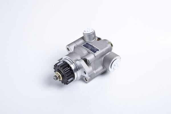PE Automotive 102.500-00A Hydraulic Pump, steering system 10250000A: Buy near me in Poland at 2407.PL - Good price!
