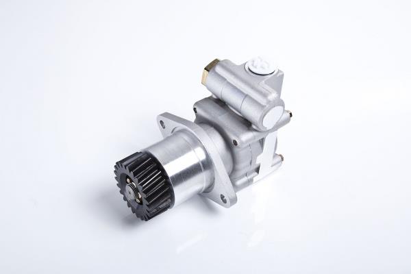 PE Automotive 142.501-00A Hydraulic Pump, steering system 14250100A: Buy near me in Poland at 2407.PL - Good price!