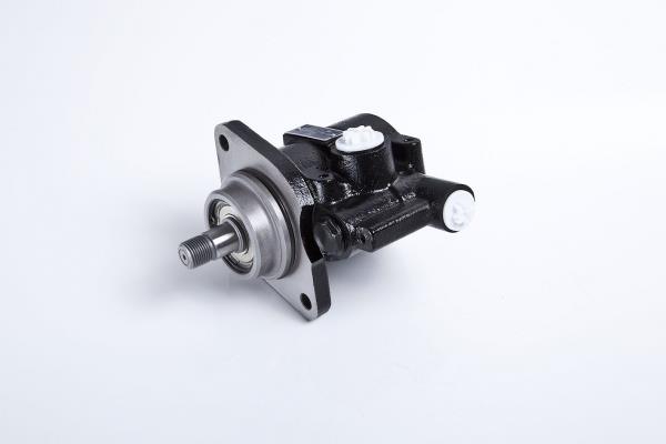 PE Automotive 142.503-00A Hydraulic Pump, steering system 14250300A: Buy near me in Poland at 2407.PL - Good price!