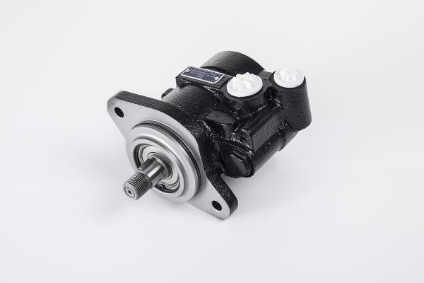 PE Automotive 142.504-00A Hydraulic Pump, steering system 14250400A: Buy near me in Poland at 2407.PL - Good price!