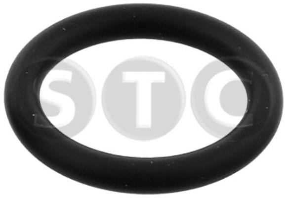 STC T402110 Seal T402110: Buy near me in Poland at 2407.PL - Good price!