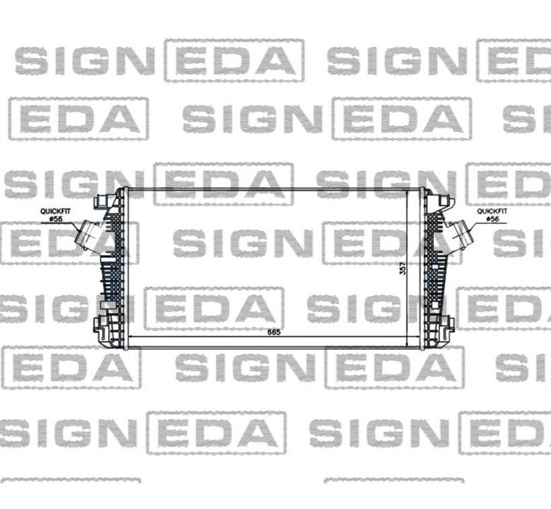 Купить Signeda RI96557 по низкой цене в Польше!