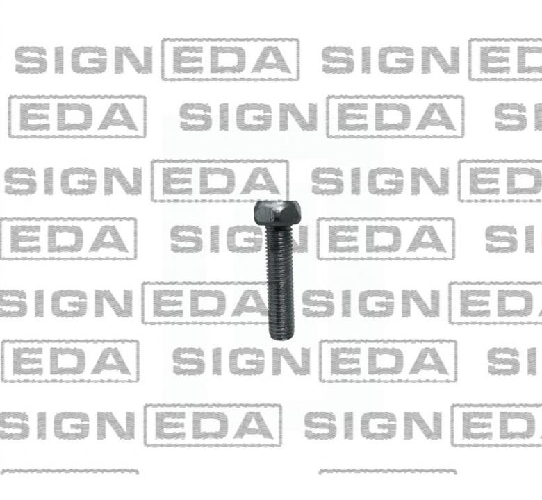 Signeda T2420(10) Clips T242010: Buy near me in Poland at 2407.PL - Good price!