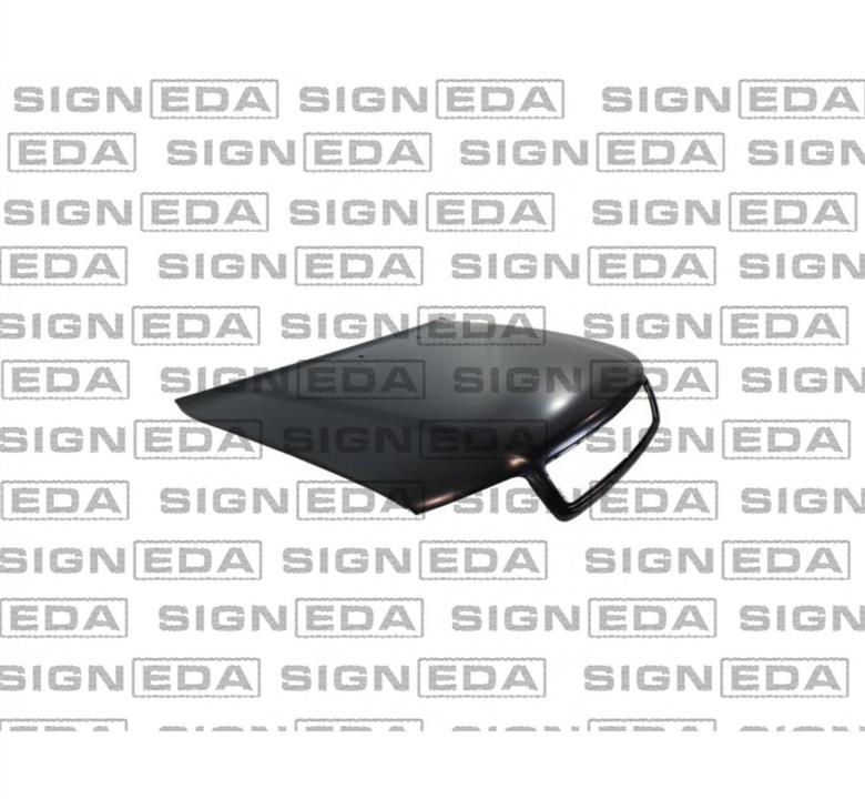 Signeda PAD20007A Hood PAD20007A: Buy near me in Poland at 2407.PL - Good price!