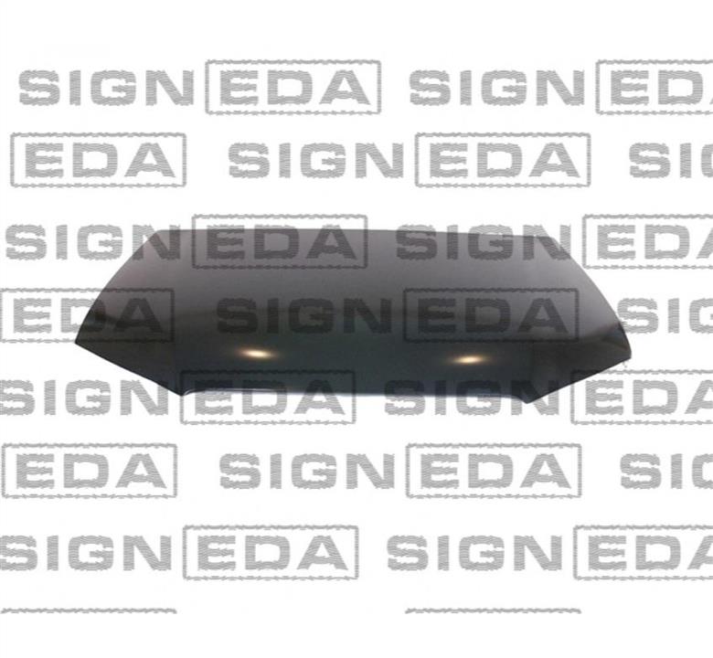 Signeda PAD20015A Hood PAD20015A: Buy near me in Poland at 2407.PL - Good price!