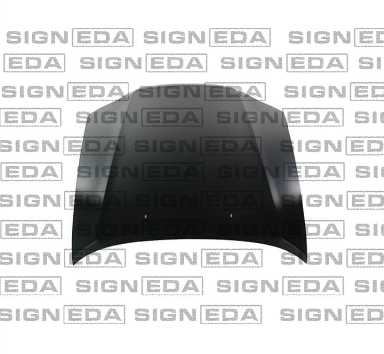 Signeda PTY20079A Hood PTY20079A: Buy near me in Poland at 2407.PL - Good price!