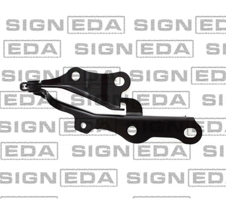 Signeda PTY21091AR Hood hinge right PTY21091AR: Buy near me in Poland at 2407.PL - Good price!