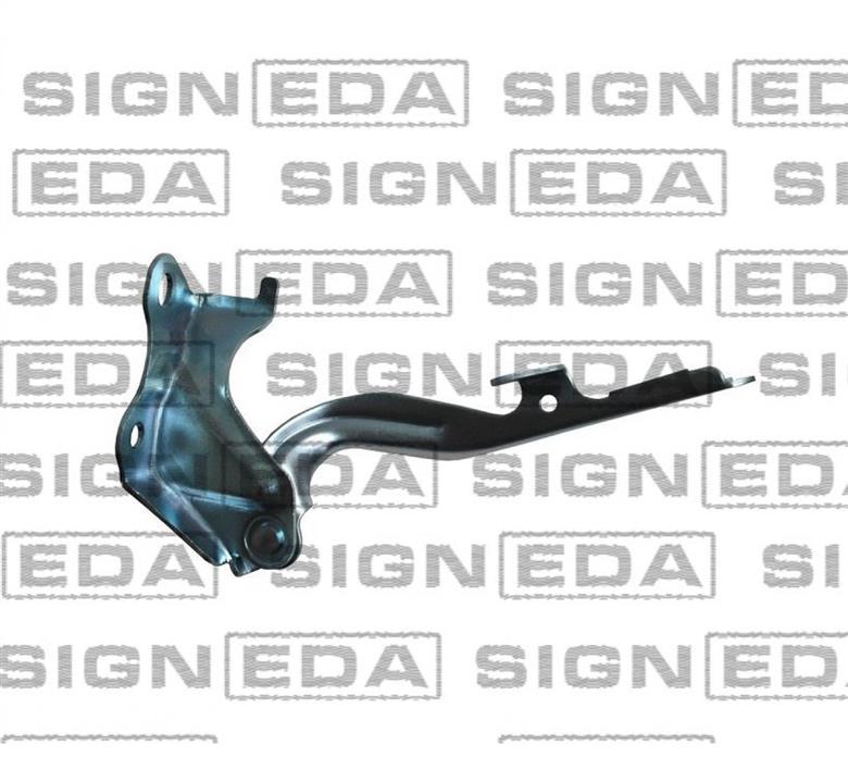 Signeda PTY21101AR Hood hinge right PTY21101AR: Buy near me at 2407.PL in Poland at an Affordable price!