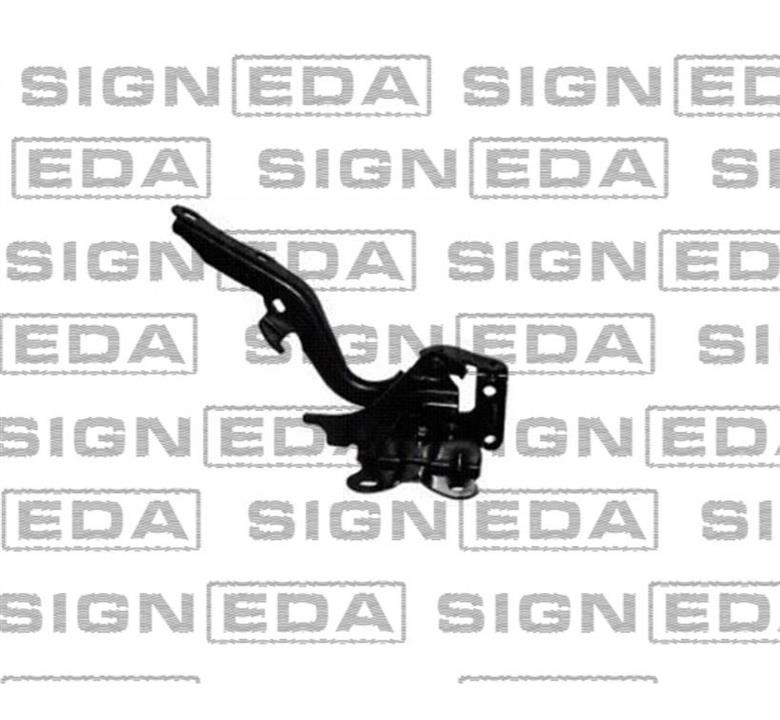 Signeda PTY21171AR Hood hinge right PTY21171AR: Buy near me in Poland at 2407.PL - Good price!