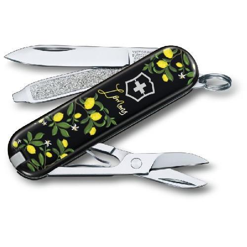 Купить Victorinox VX06223.L1905 по низкой цене в Польше!