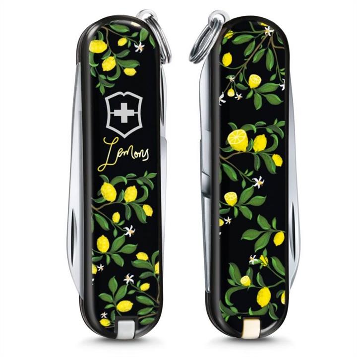 Купить Victorinox VX06223L1905 – отличная цена на 2407.PL!