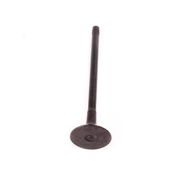 Oriji OR0088 Exhaust valve OR0088: Buy near me in Poland at 2407.PL - Good price!