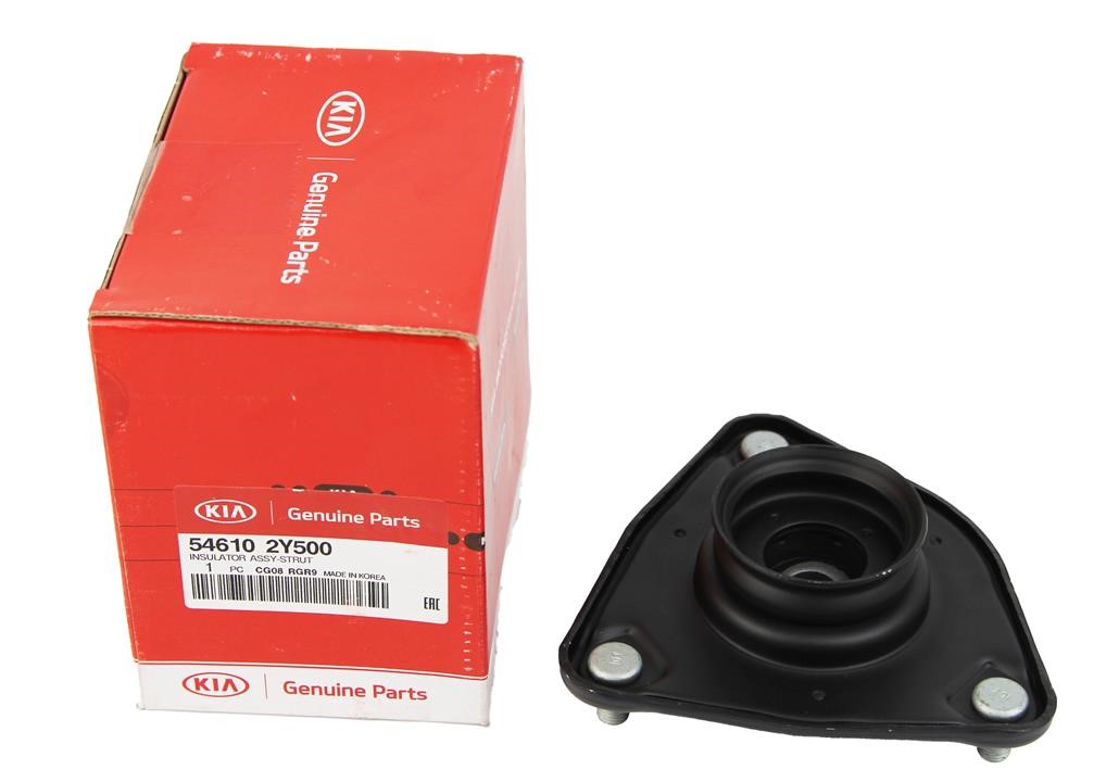 Buy Hyundai/Kia 54610 2Y500 at a low price in Poland!