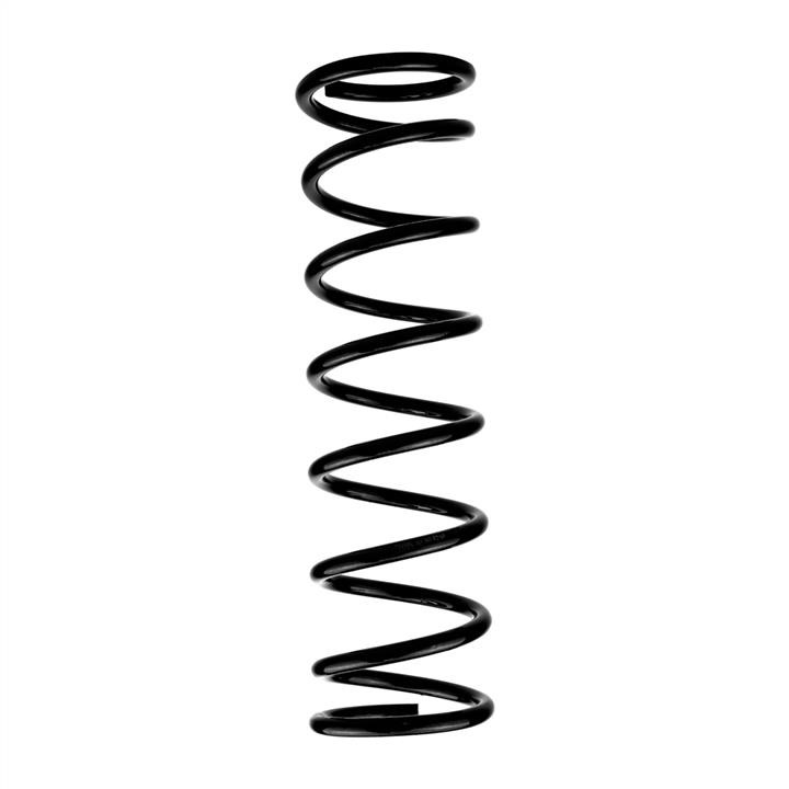 Hort S8002 Rear suspension spring, set 2pcs. S8002: Buy near me at 2407.PL in Poland at an Affordable price!