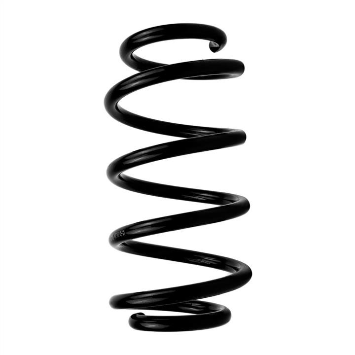 Hort S8424 Coil Spring S8424: Buy near me in Poland at 2407.PL - Good price!