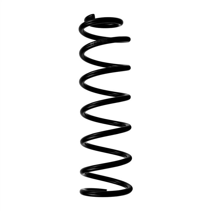 Hort S8432 Coil Spring S8432: Buy near me in Poland at 2407.PL - Good price!