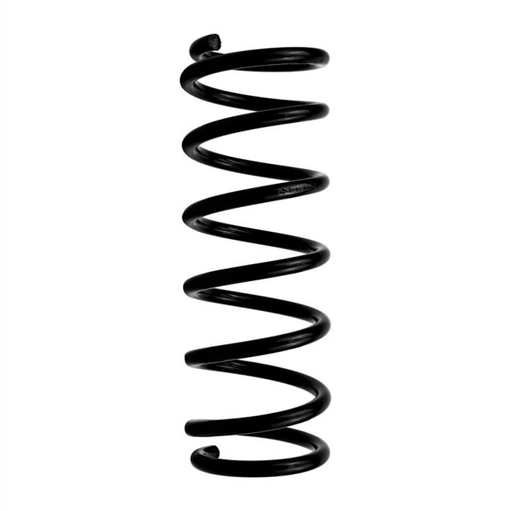 Hort S8051 Coil Spring S8051: Buy near me in Poland at 2407.PL - Good price!