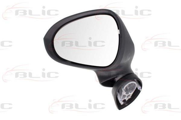 Blic 5402-10-2002287P Outside Mirror 5402102002287P: Buy near me in Poland at 2407.PL - Good price!