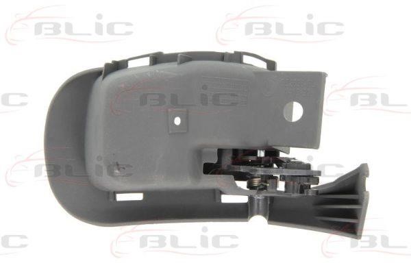 Handle-assist Blic 6010-02-020409P