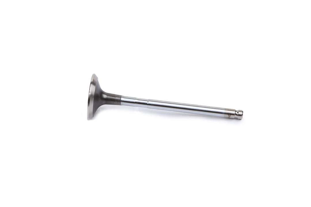 Stellox 01-24428-SX Exhaust valve 0124428SX: Buy near me in Poland at 2407.PL - Good price!