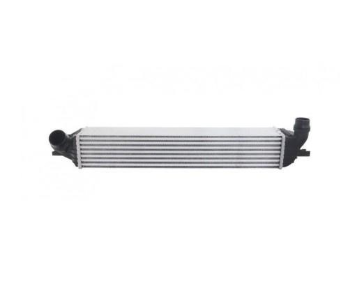 Renault 14 49 600 01R Intercooler, charger 144960001R: Buy near me in Poland at 2407.PL - Good price!