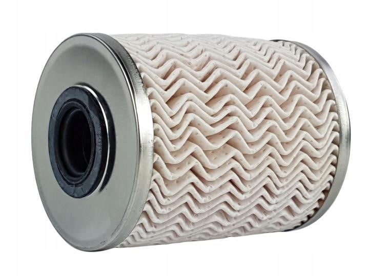 Renault 77 01 478 972 Fuel filter 7701478972: Buy near me in Poland at 2407.PL - Good price!