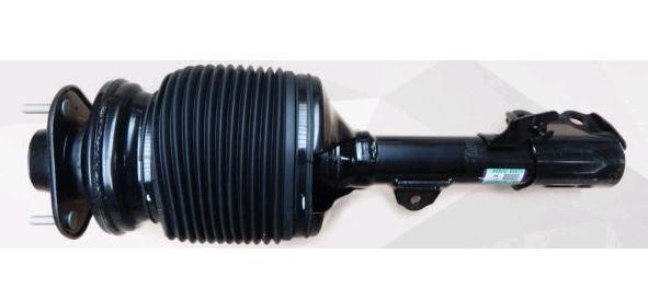 Toyota 48020-48075 Front oil and gas suspension shock absorber 4802048075: Buy near me in Poland at 2407.PL - Good price!