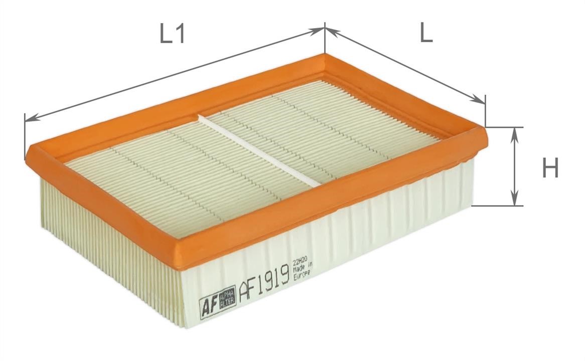 Alpha Filter AF1919 Воздушный фильтр AF1919: Отличная цена - Купить в Польше на 2407.PL!