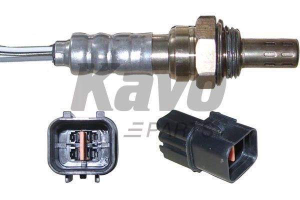 Buy Kavo parts EOS-5501 at a low price in Poland!