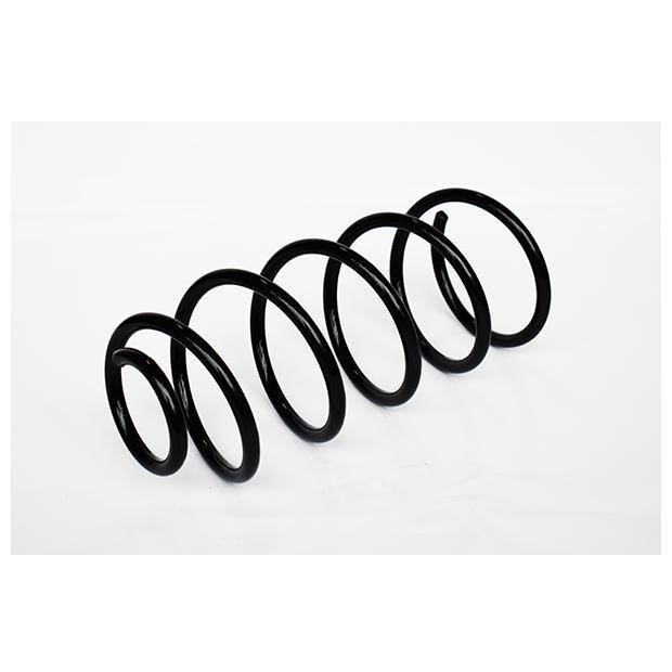 ASAM 73753 Suspension spring front 73753: Buy near me in Poland at 2407.PL - Good price!