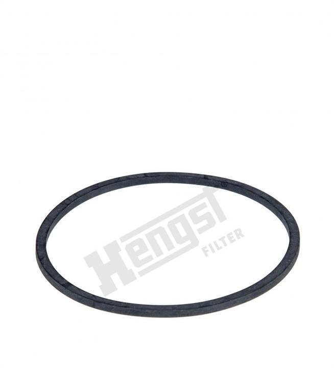 Hengst H10KDIN11 OIL FILTER HOUSING GASKETS H10KDIN11: Buy near me in Poland at 2407.PL - Good price!