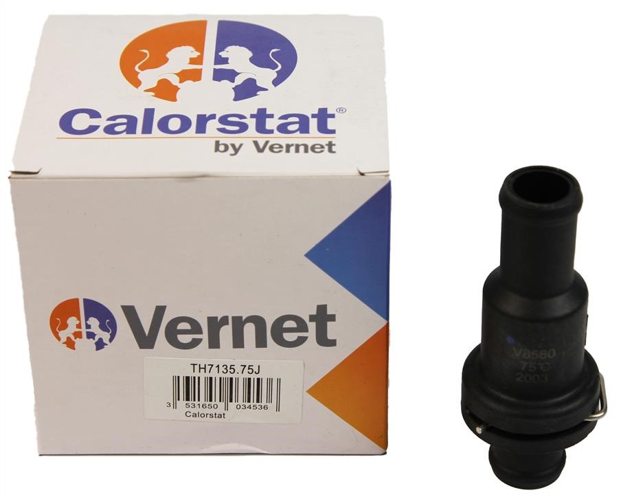 Купить Vernet TH7135.75J по низкой цене в Польше!
