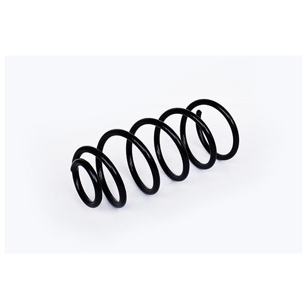 ASAM 73812 Suspension spring front 73812: Buy near me in Poland at 2407.PL - Good price!