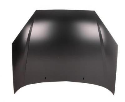 Ford 1 064 062 Hood 1064062: Buy near me in Poland at 2407.PL - Good price!