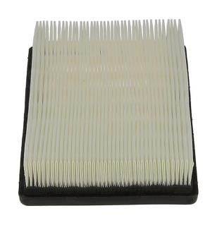 CAF100961P Champion Air filter