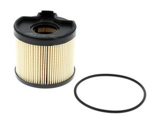 Champion CFF100251 Fuel filter CFF100251: Buy near me in Poland at 2407.PL - Good price!