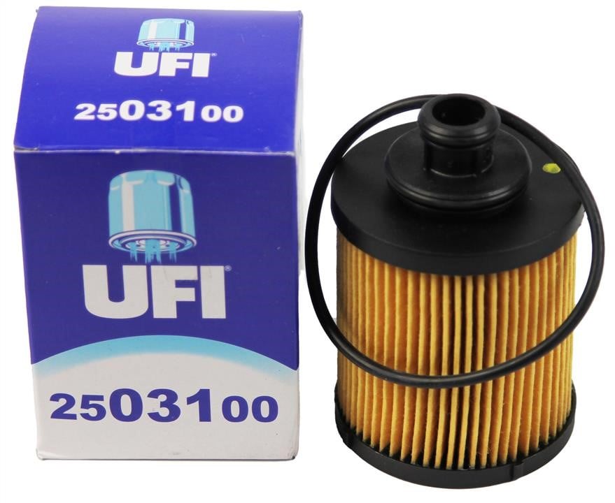 Buy Ufi 25.031.00 at a low price in Poland!